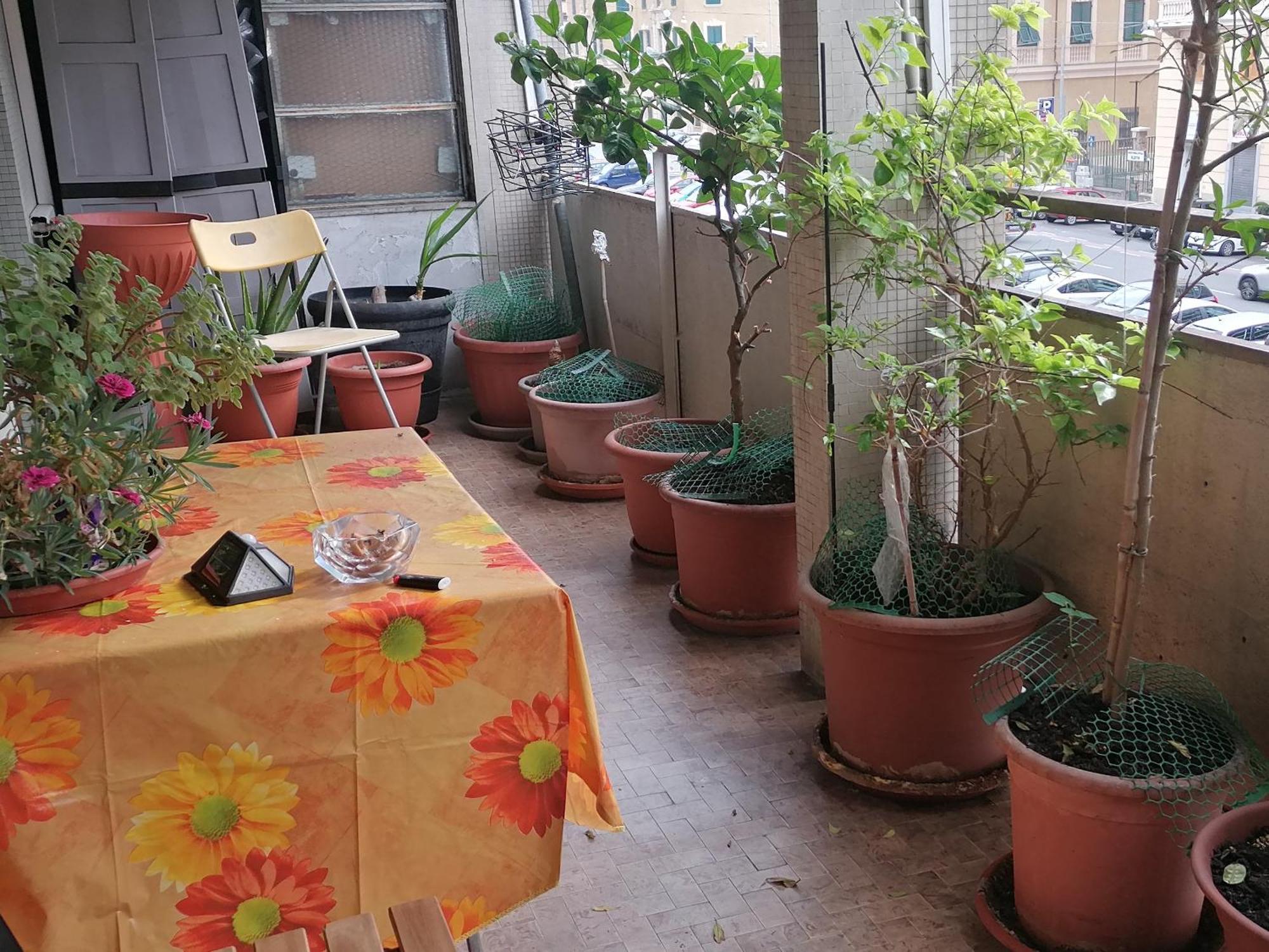 Celine Acomodação com café da manhã Génova Exterior foto